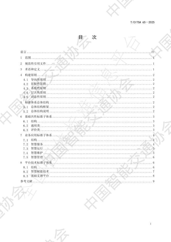 T/CITSA 65-2025 标准预览