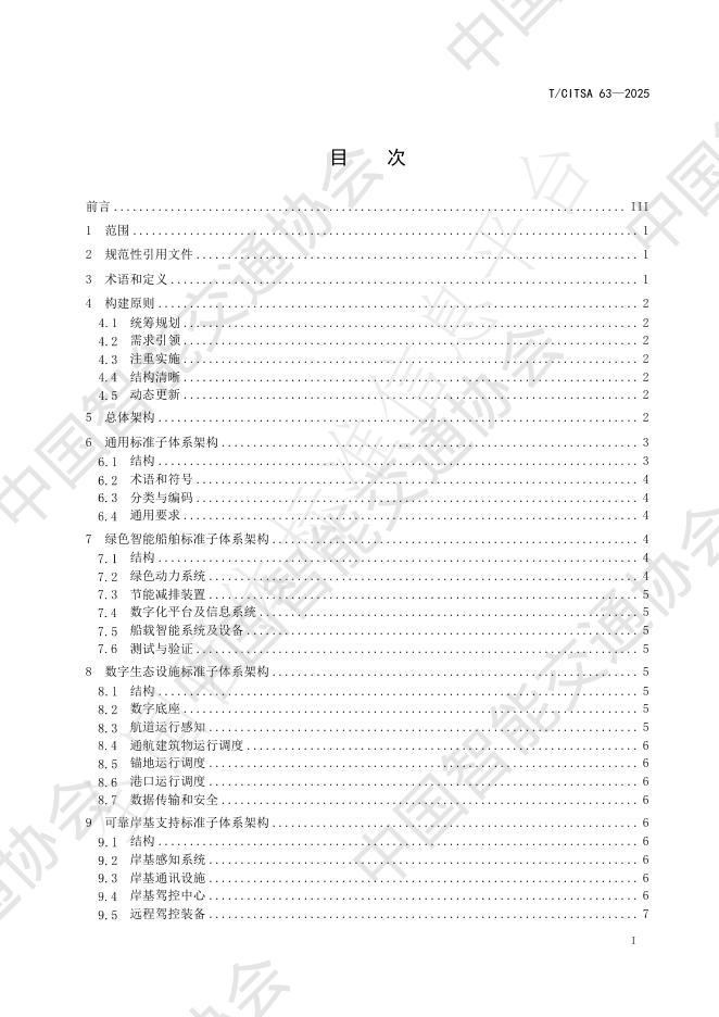 T/CITSA 63-2025 标准预览