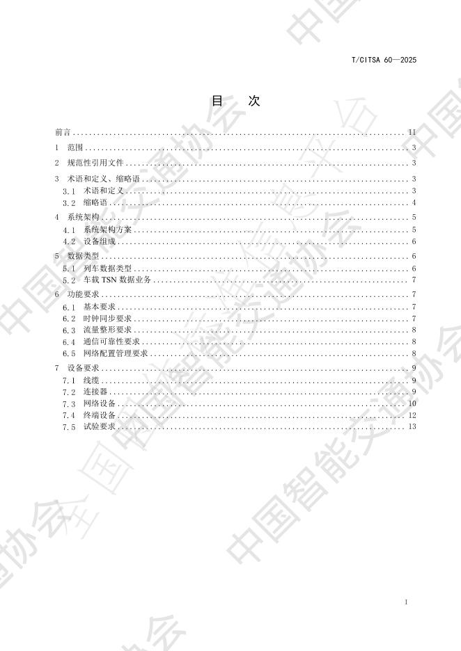 T/CITSA 60-2025 标准预览