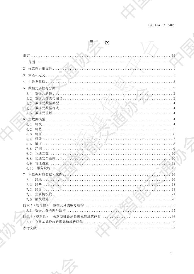 T/CITSA 57-2025 标准预览