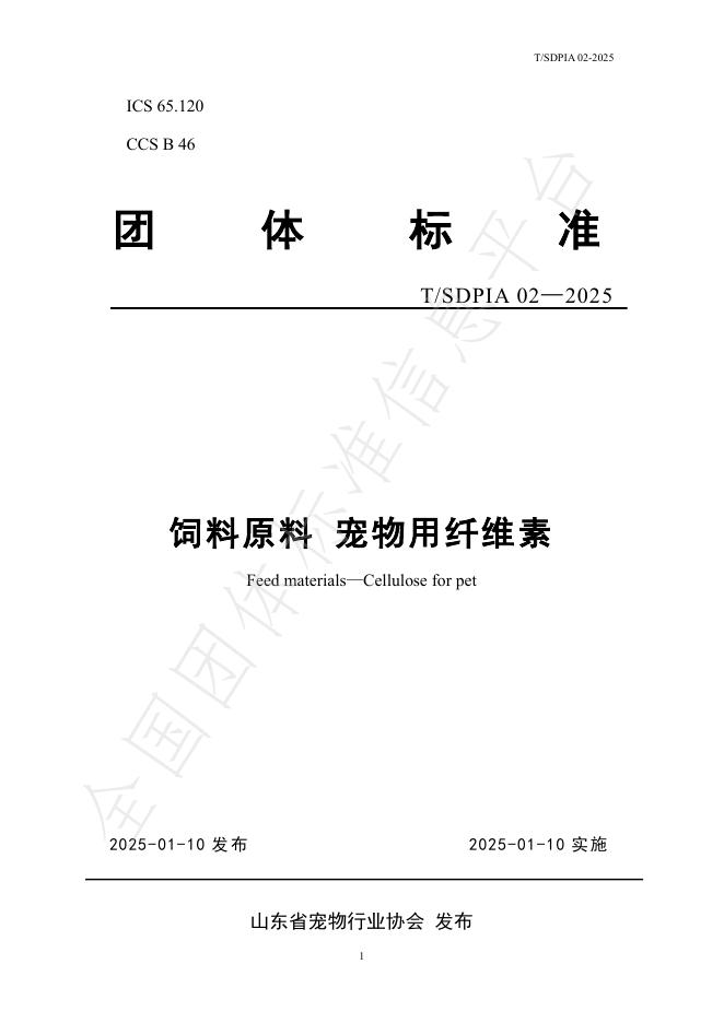 T/SDPIA 02-2025 标准预览