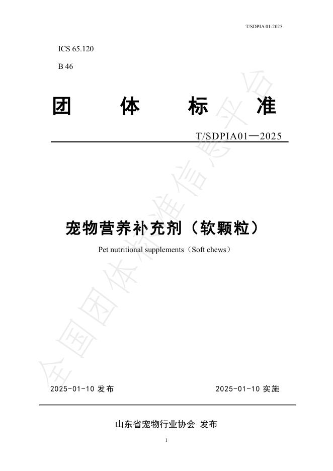 T/SDPIA 01-2025 标准预览