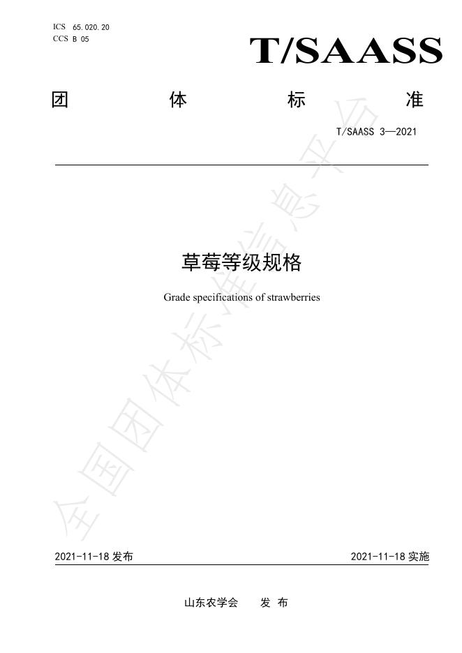 T/SAASS 3-2021 标准预览