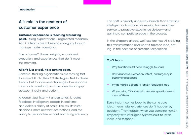 Forsta：2025年在人工智能时代提升客户体验报告（英文版）_第3页