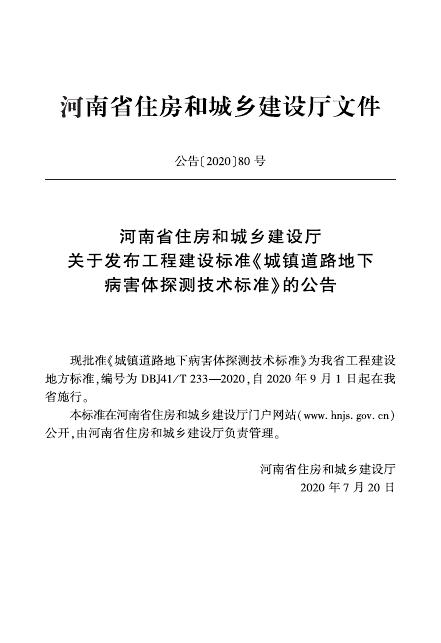 DBJ41/T 233-2020 标准预览