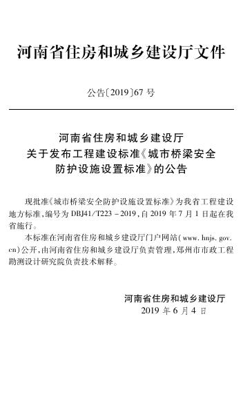 DBJ41/T 223-2019 标准预览