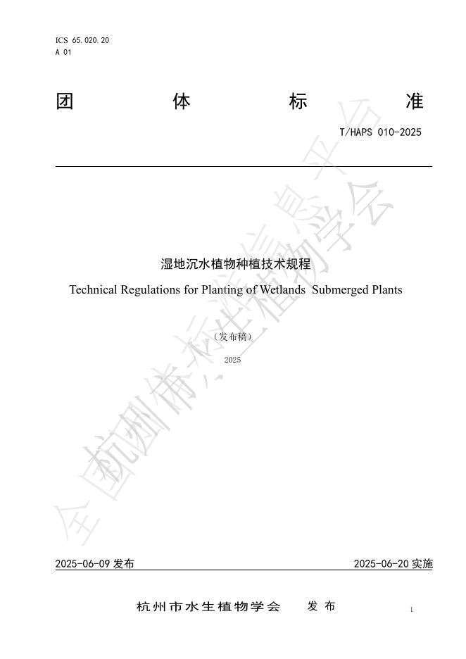 T/HAPS 010-2025 标准预览