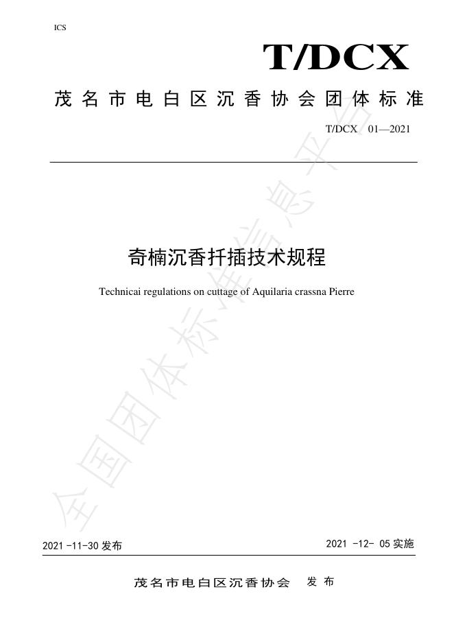 T/DCX 01-2021 标准预览