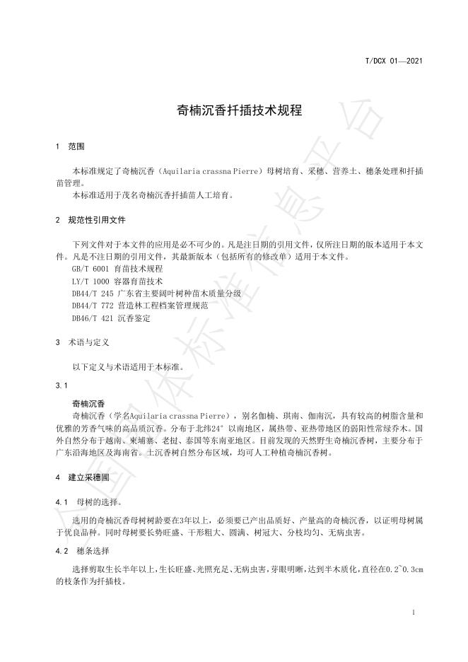 T/DCX 01-2021 标准预览