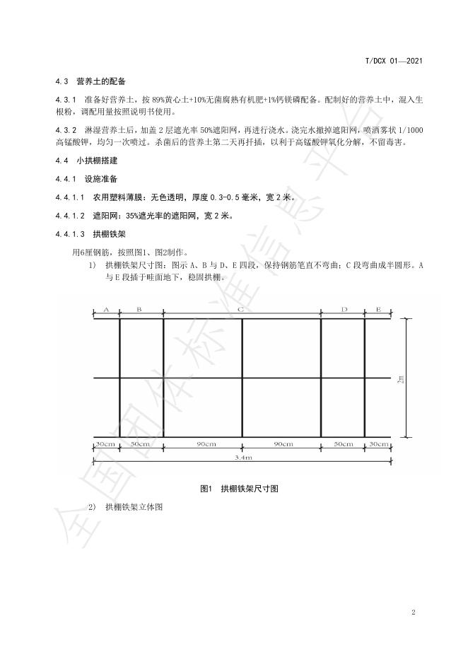 T/DCX 01-2021 标准预览