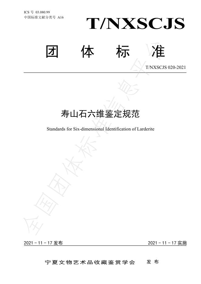 T/NXSCJS 020-2021 标准预览