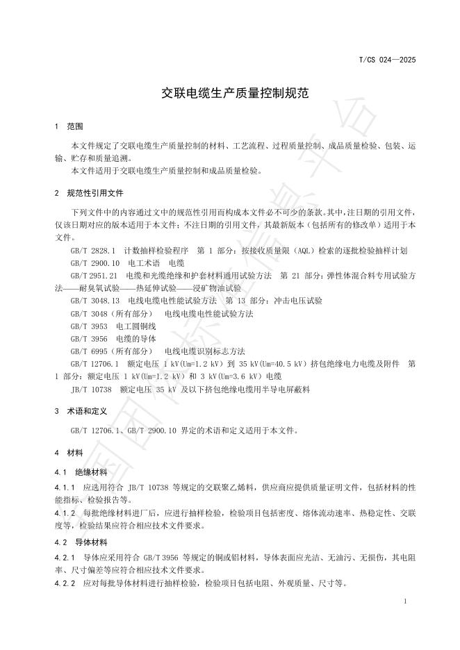 T/CS 024-2025 标准预览
