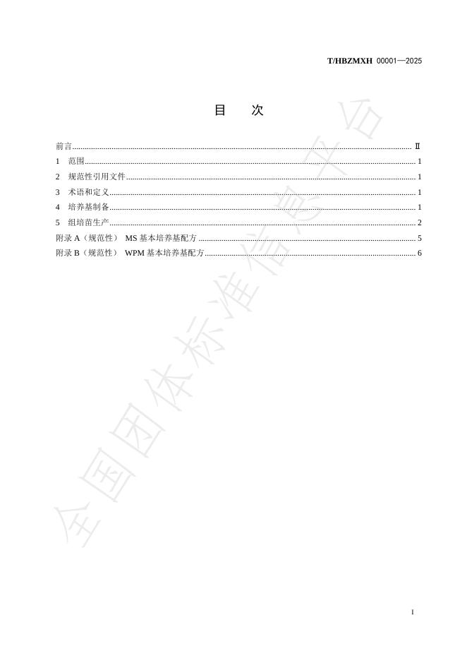 T/HBZMXH 00001-2025 标准预览
