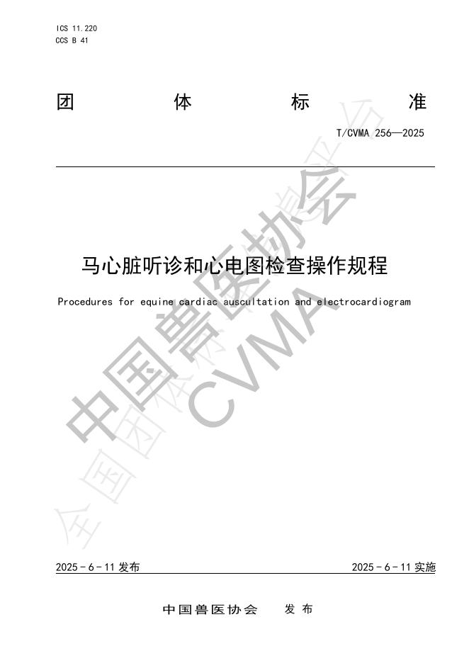 T/CVMA 256-2025 标准预览