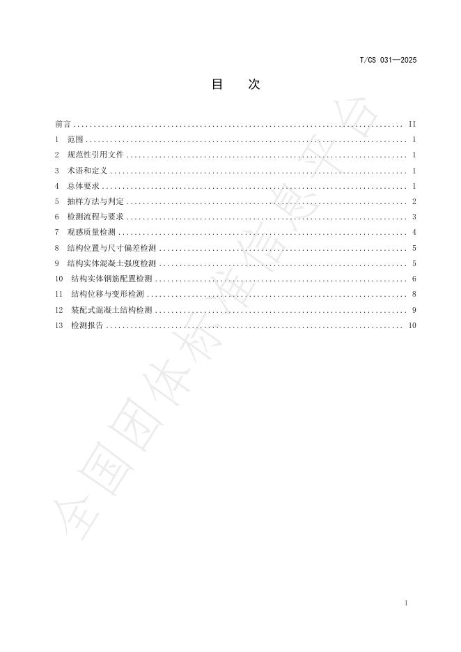 T/CS 031-2025 标准预览