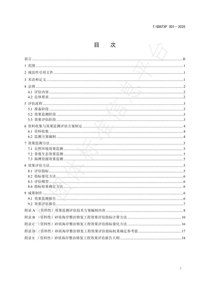 T/GDSTXF 001-2025 标准预览