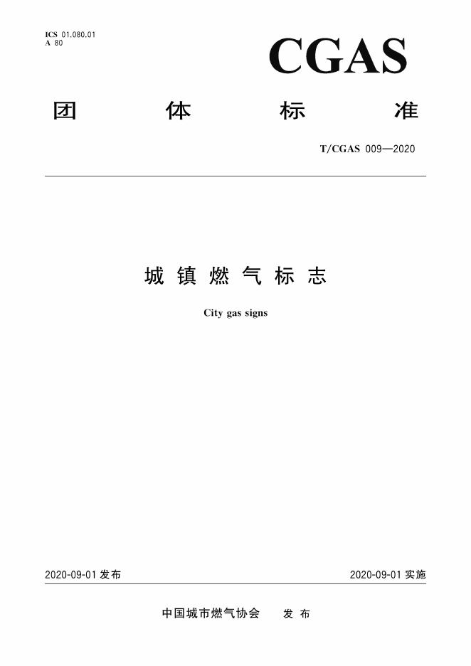 T/CGAS 009-2020 标准预览