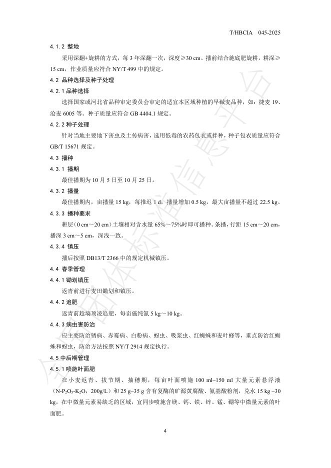 T/HBCIA 045-2025 标准预览