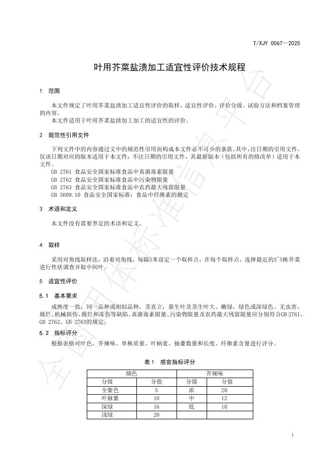 T/XJY 0067-2025 标准预览