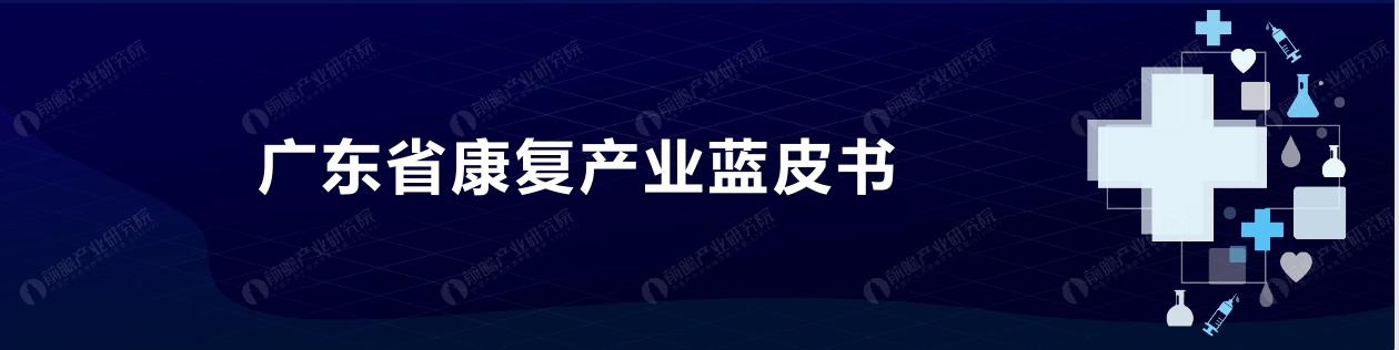 前瞻产业研究院：2025年广东省康复产业蓝皮书海报