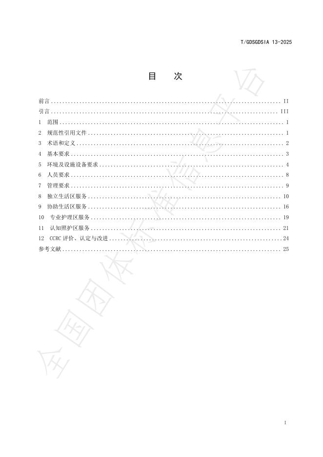T/GDSGDSIA 13-2025 标准预览
