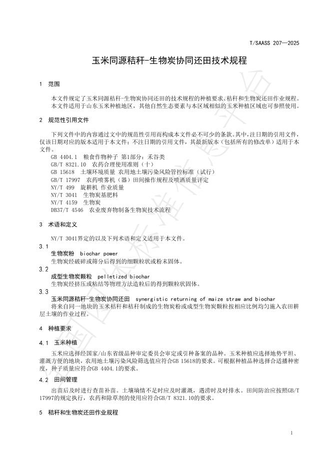 T/SAASS 207-2025 标准预览