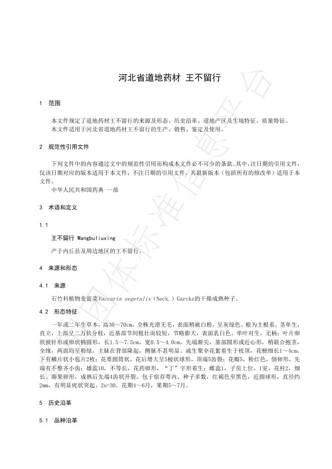 T/HBYY 0103-2025 标准预览