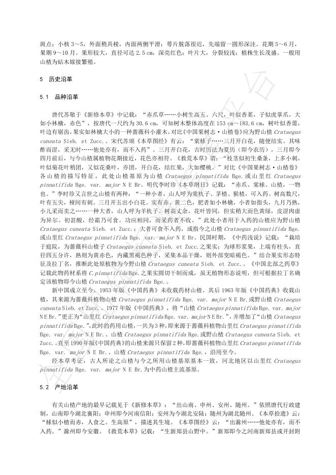T/HBYY 0101-2025 标准预览