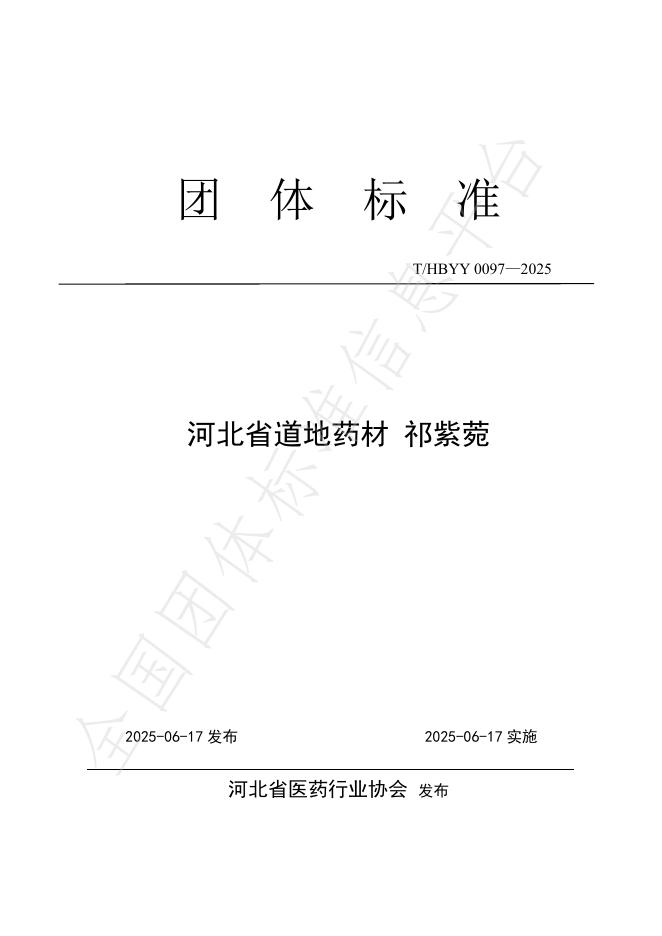 T/HBYY 0097-2025 标准预览