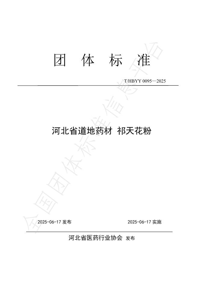 T/HBYY 0095-2025 标准预览
