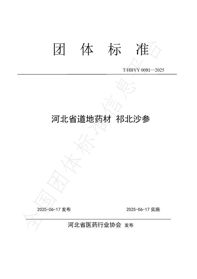 T/HBYY 0091-2025 标准预览