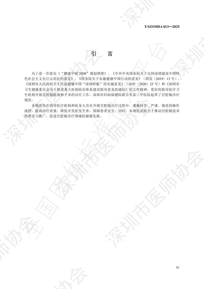 T/SZSMDA 013-2025 标准预览