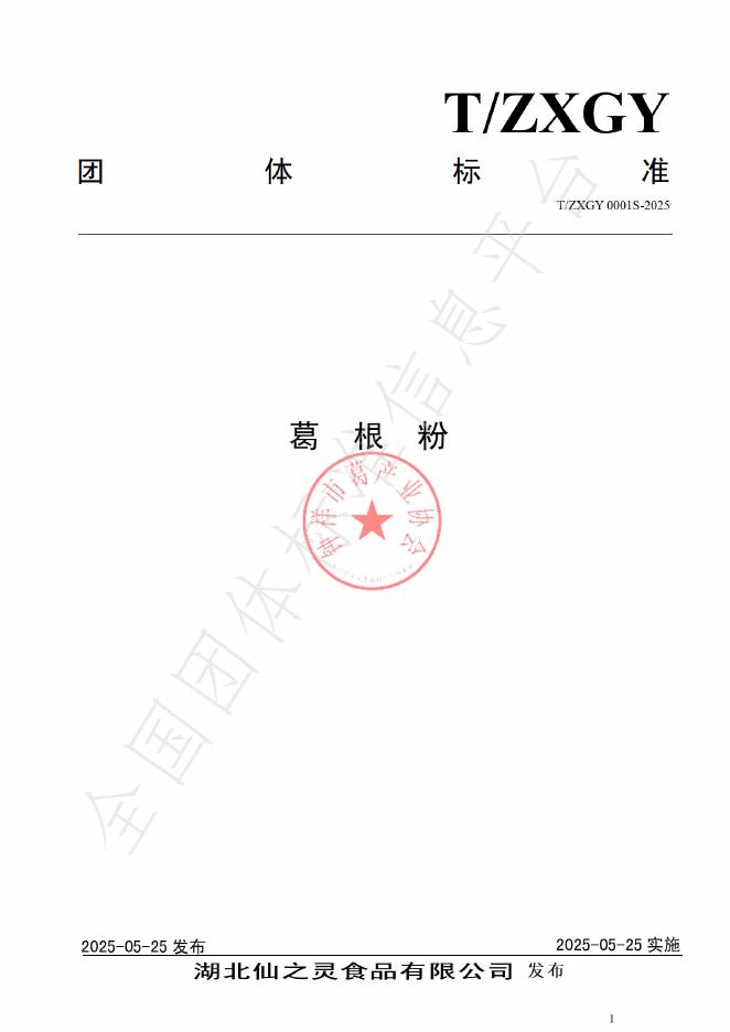 T/ZXGY 0001S-2025 标准预览