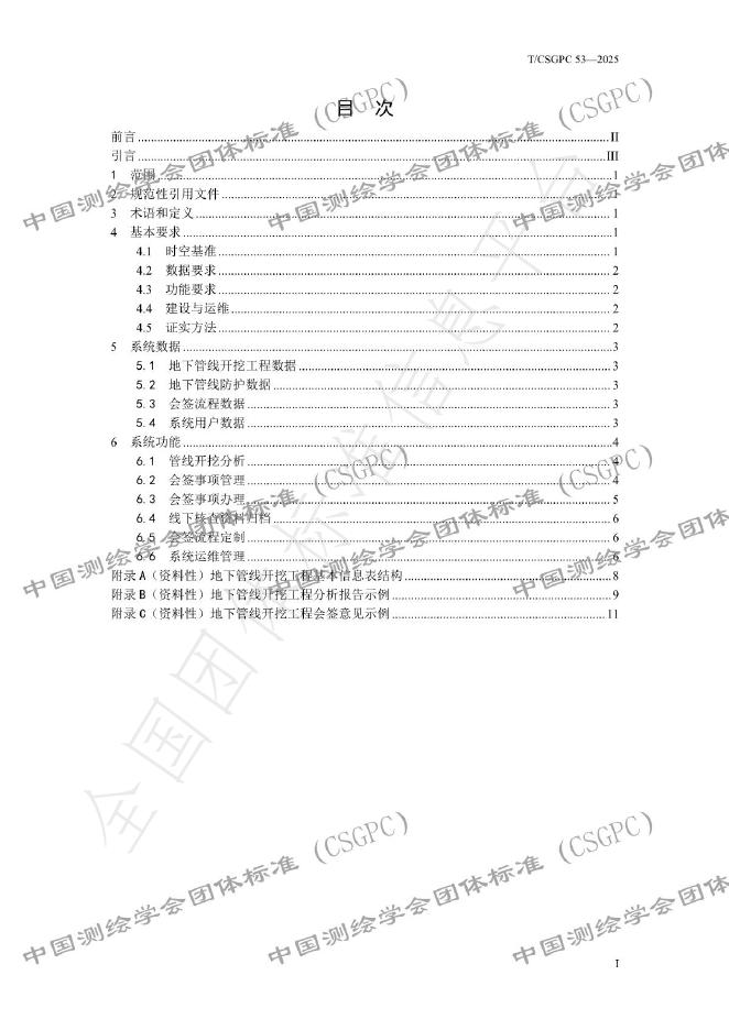 T/CSGPC 53-2025 标准预览