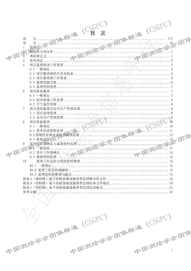 T/CSGPC 52-2025 标准预览