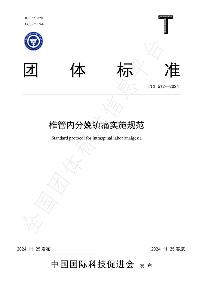 T/CI 612-2024 标准预览