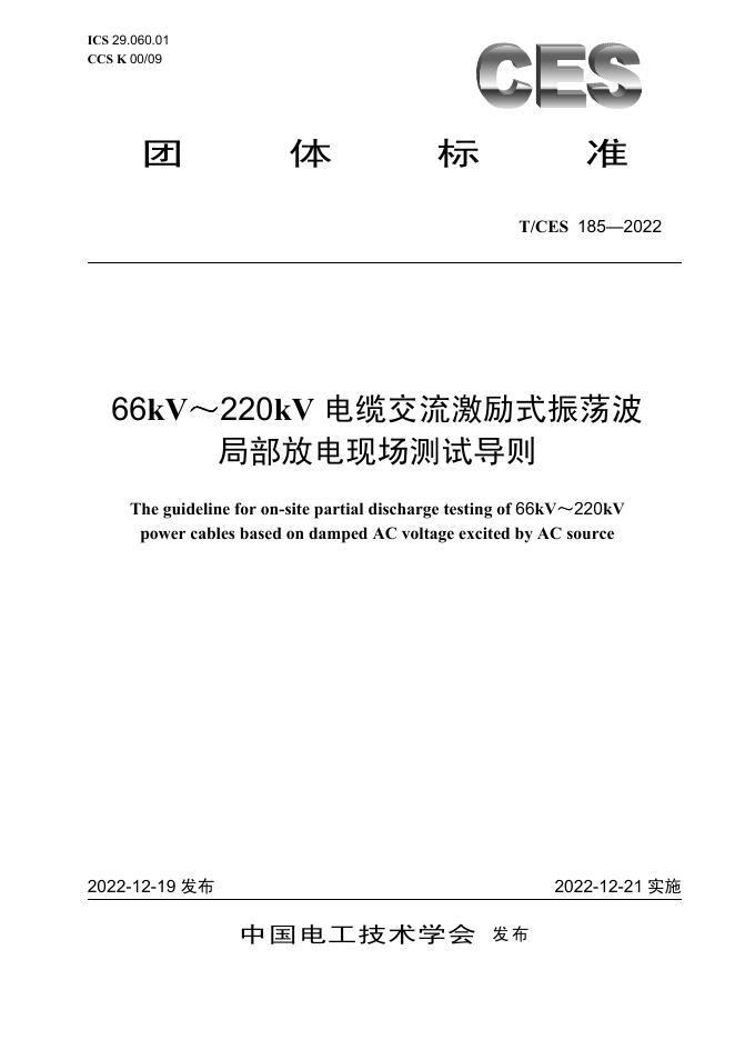 T/CES 185-2022 标准预览