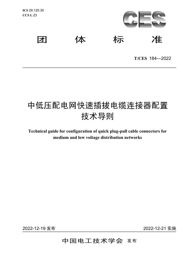 T/CES 184-2022 标准预览