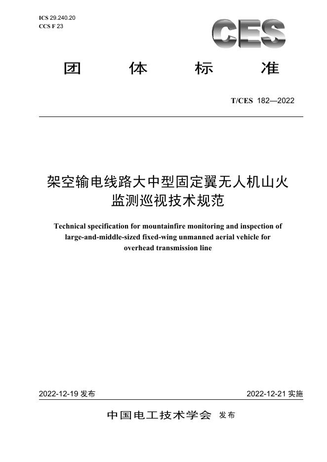 T/CES 182-2022 标准预览