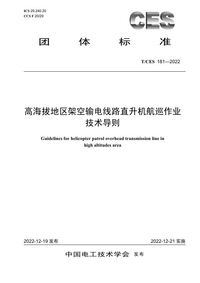 T/CES 181-2022 标准预览