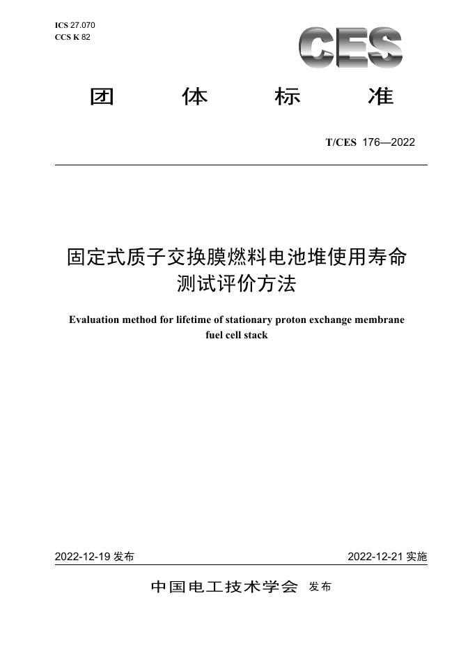 T/CES 176-2022 标准预览