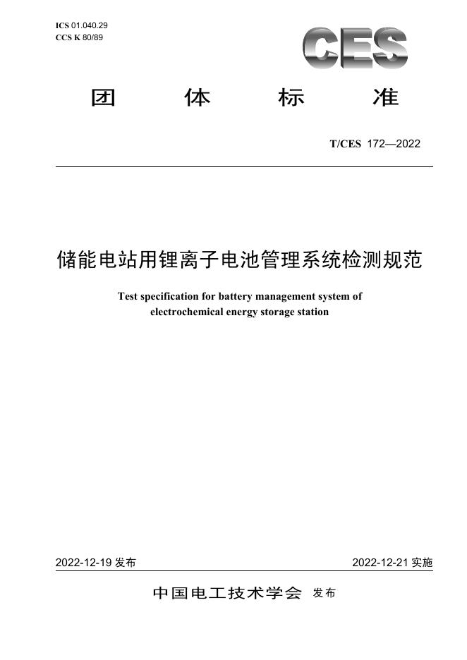 T/CES 172-2022 标准预览