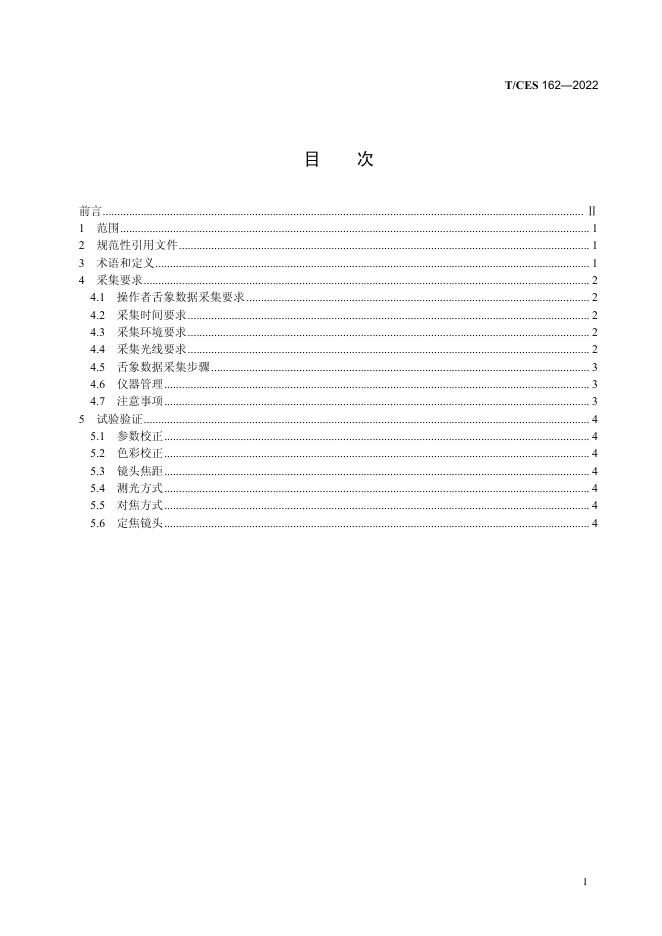 T/CES 162-2022 标准预览
