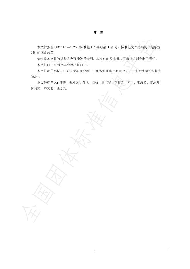 T/SDYY 206-2025 标准预览