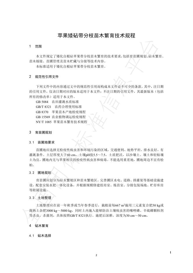 T/SDYY 206-2025 标准预览