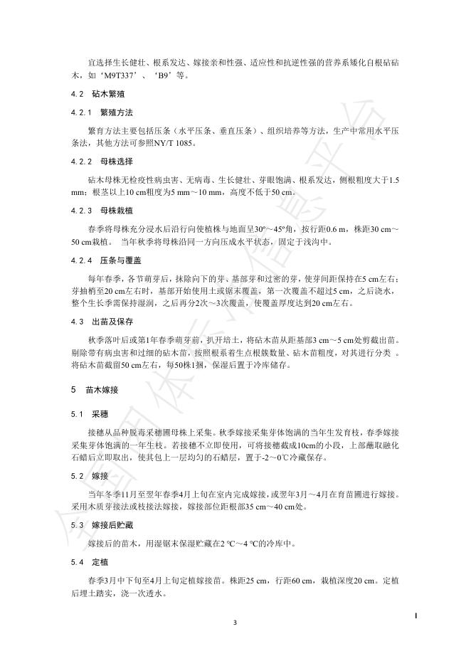 T/SDYY 206-2025 标准预览