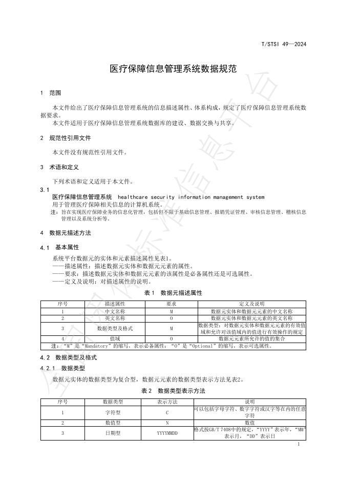 T/STSI 49-2024 标准预览