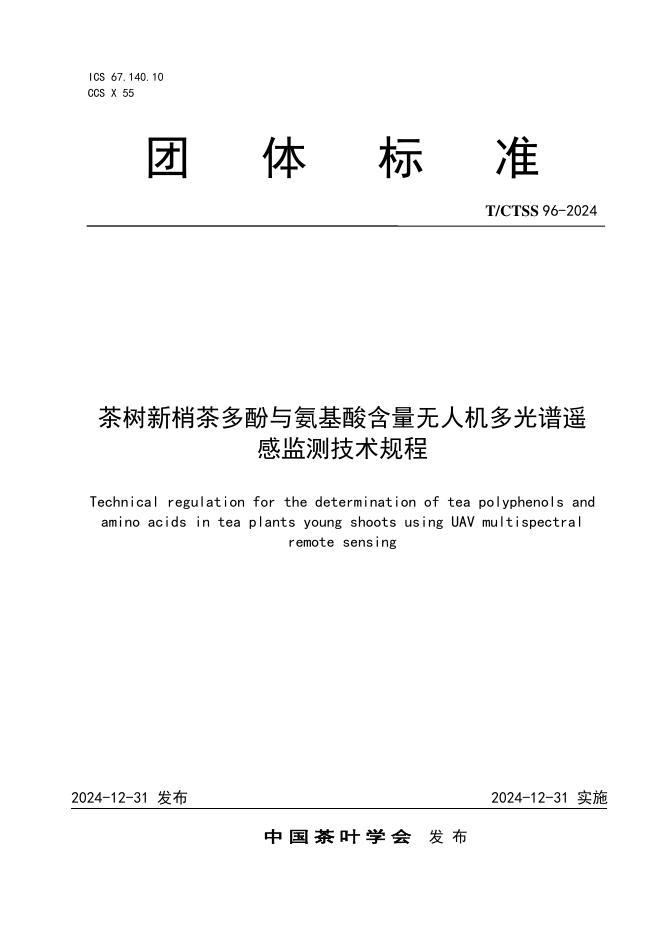 T/CTSS 96-2024 标准预览