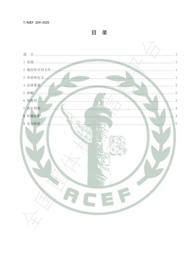 T/ACEF 204-2025 标准预览