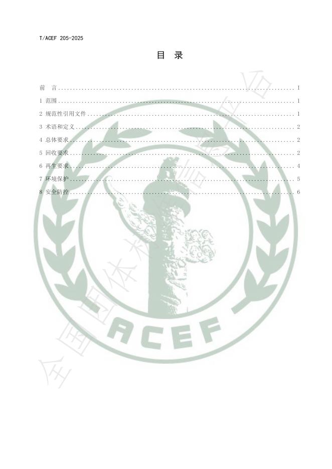 T/ACEF 205-2025 标准预览